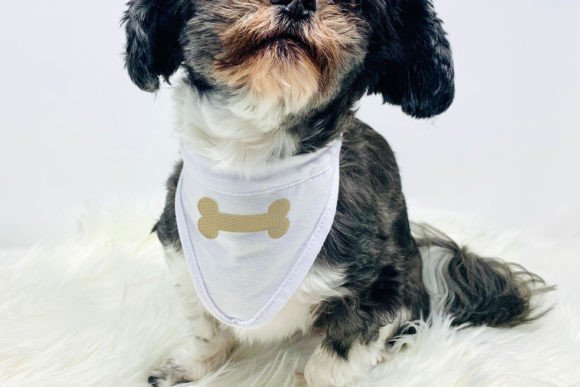Dog Bone Mini Embroidery Review for Real Projects